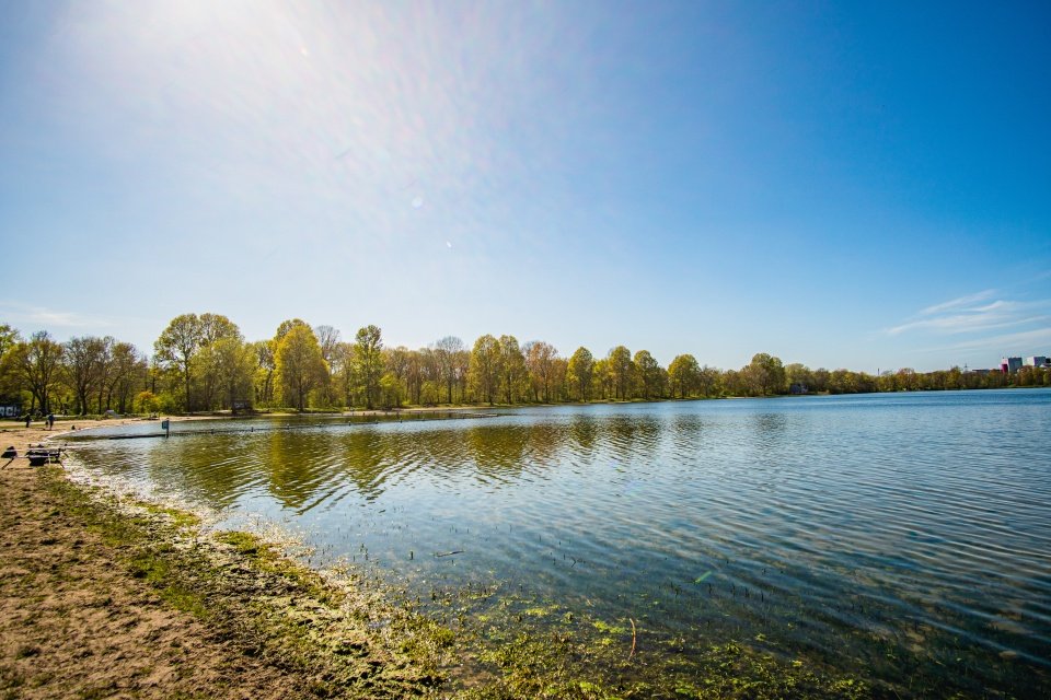 🏞️ 도시 숲 호수 (슈타트발트제)